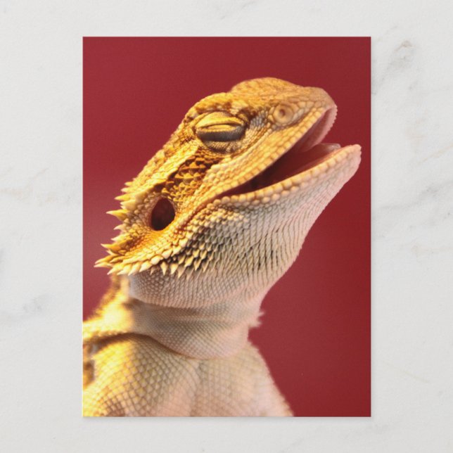 Carte Postale Dragon à coeur de rire (Devant)