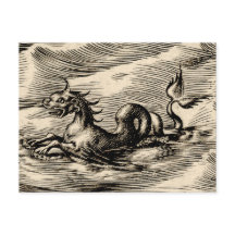 Dragon de mer à l'équateur