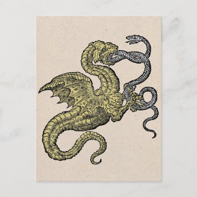 Carte Postale Dragon d'or et serpent d'argent (Devant)