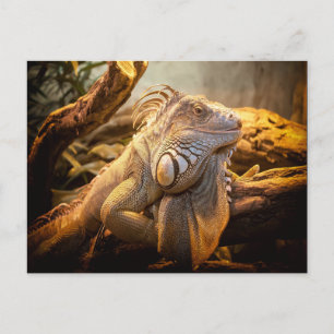 Carte Postale Dragon Iguana