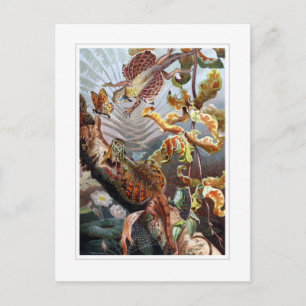 Carte Postale Dragon volant