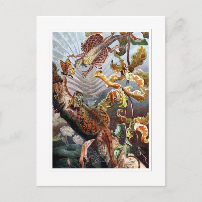 Carte Postale Dragon volant (Devant)