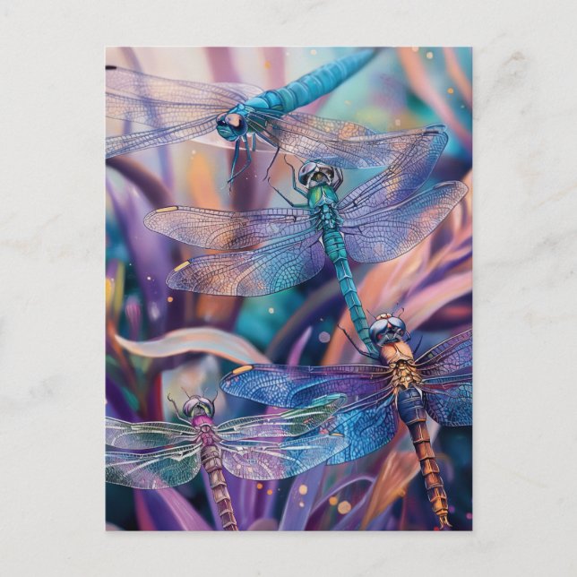 Carte postale Dragonfly (Devant)