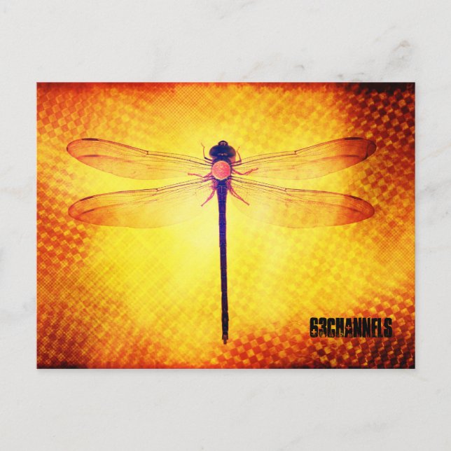 Carte postale Dragonfly (Devant)
