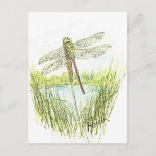 Carte postale Dragonfly