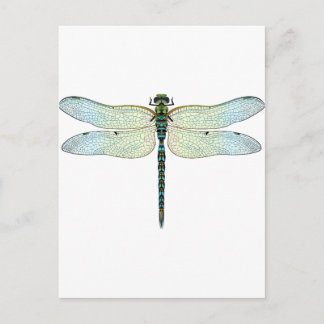 Carte Postale DragonFly