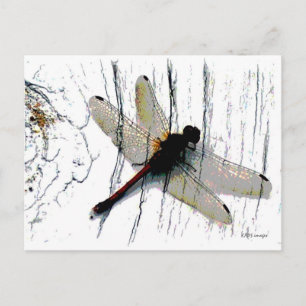 Carte postale Dragonfly Art