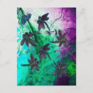 Carte Postale Dragonfly Magic