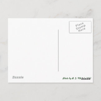 Carte Postale Dragonfly métallique