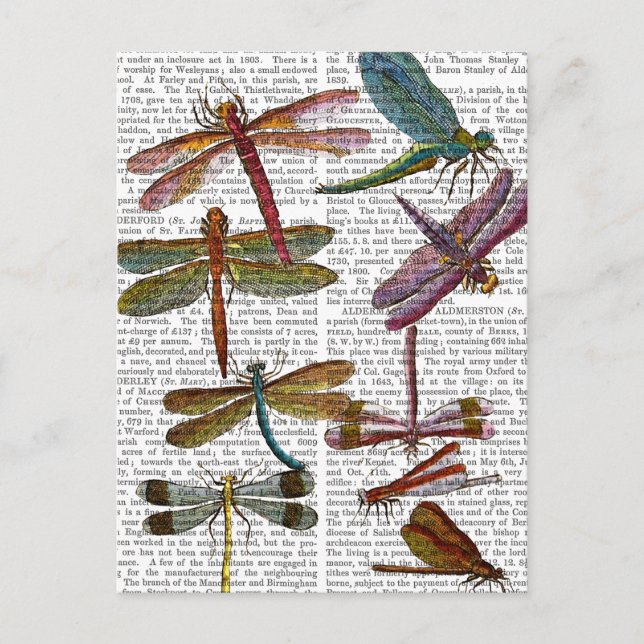 Carte Postale Dragonfly Print 4 (Devant)