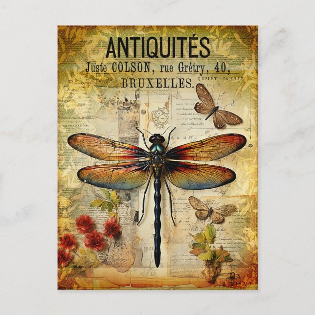 Carte Postale Dragonfly vintage (Devant)