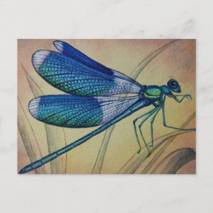 Carte Postale Dragonfly vintage no 5 et Aquarelle en herbe art