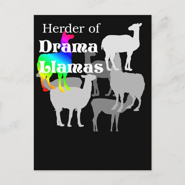 Carte postale Drama Llama Herder (Devant)
