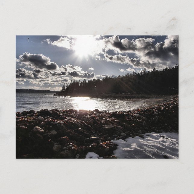 Carte Postale Drame de plage (Devant)