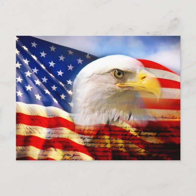 Carte Postale Drapeau américain avec aigle chauve (Devant)