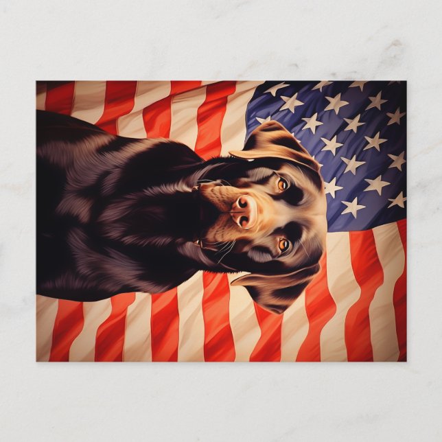 Carte Postale Drapeau américain Chocolat Labrador (Devant)