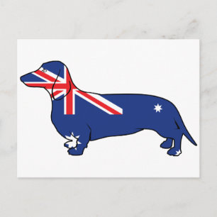 Carte Postale Drapeau australien Dachshund