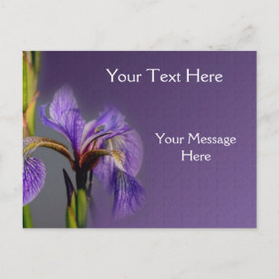 Carte Postale Drapeau bleu Iris Fleur