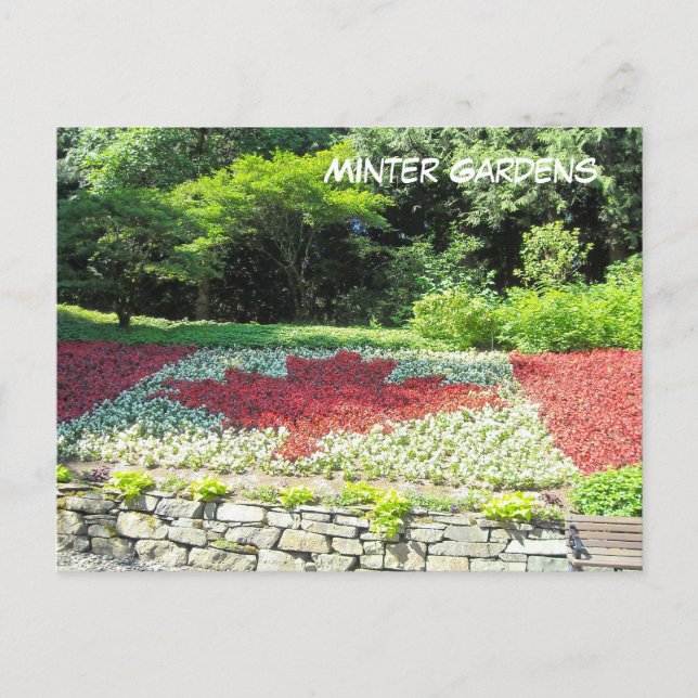 Carte Postale Drapeau canadien des fleurs (Devant)