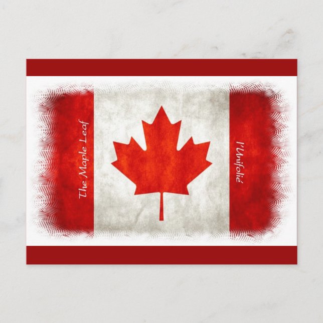 Carte Postale Drapeau canadien Feuille d'érable l'Unifolié (Devant)