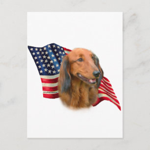 Carte Postale Drapeau Dachshund
