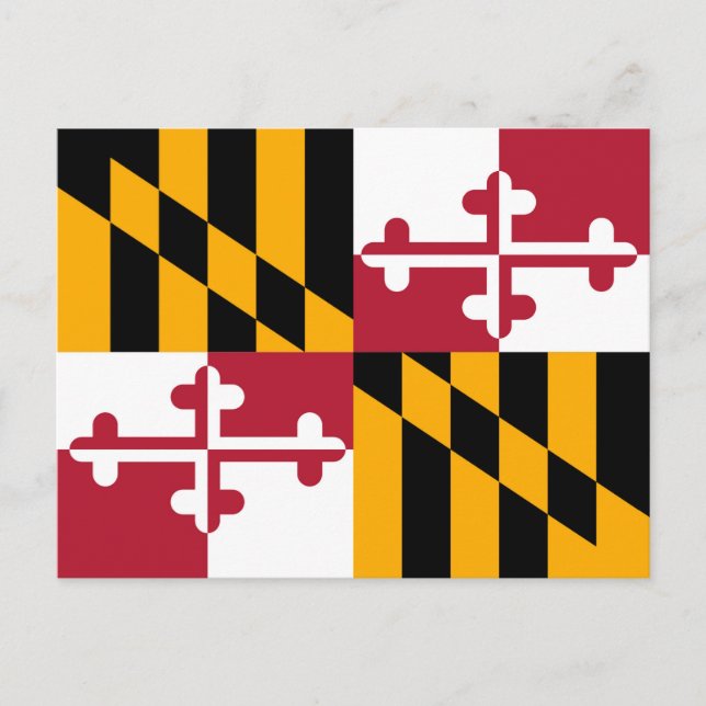 Carte Postale Drapeau de l'État du Maryland (Devant)