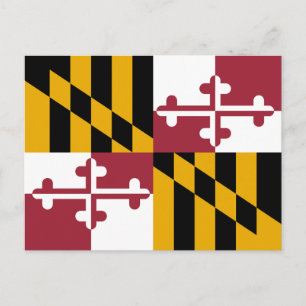 Carte Postale Drapeau de l'État du Maryland