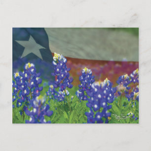 Carte Postale Drapeau du Texas avec bleuets