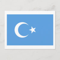 Drapeau du Turkestan oriental Ouyghur