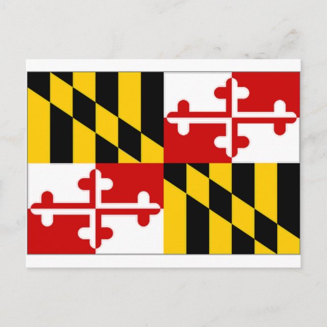 Carte Postale Drapeau Maryland États-Unis (Devant)