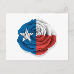 Carte Postale Drapeau Rose du Texas en blanc
