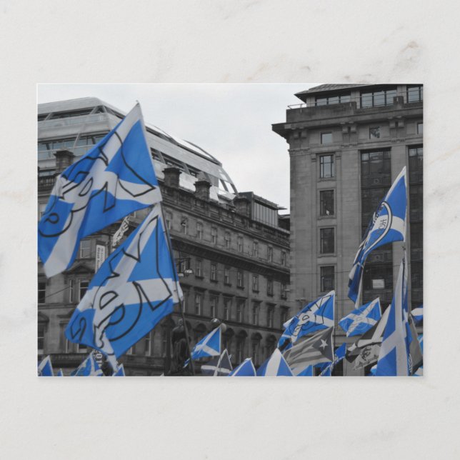 Carte Postale Drapeaux écossais flottent fièrement à Glasgow (Devant)