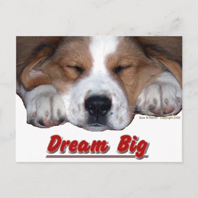 Carte Postale Dream Big Dog (Devant)