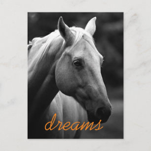 Carte Postale Dreams Motivational Black & White Horse Head