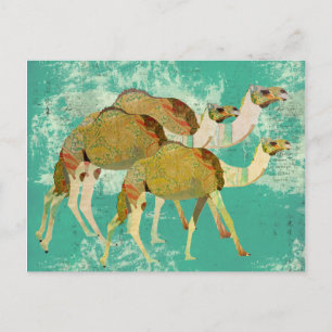 Carte postale Dreamy Camels