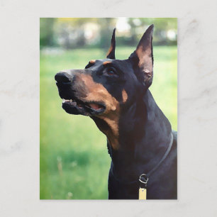 Carte Postale Dreamy Doberman Pinscher Peinture Visage