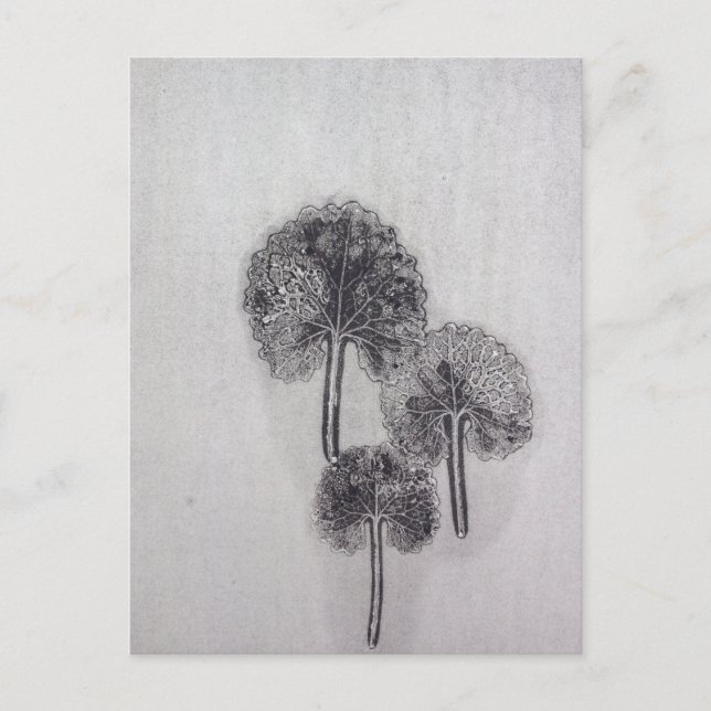Carte Postale Dreiblatt (Devant)