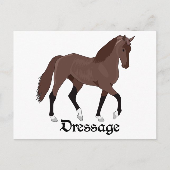 Carte Postale Dressage (Devant)