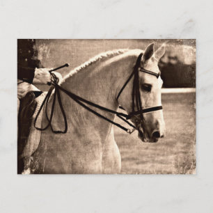 Carte Postale Dressage Grunge