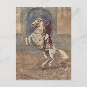 Carte Postale Dressage Montrer Cheval