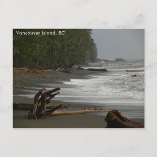 Carte Postale Driftwood Vancouver Island (Colombie-Britannique)