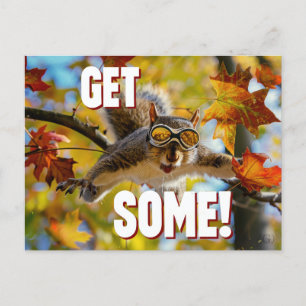 Carte Postale Drôle Action Squirrel "Obtenez-en"