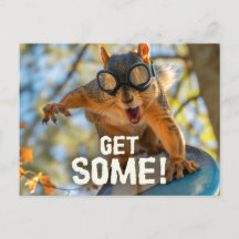 Carte Postale Drôle Action Squirrel "Obtenez-en"