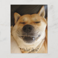 drôle akita japonaise type avec joli sourire amour