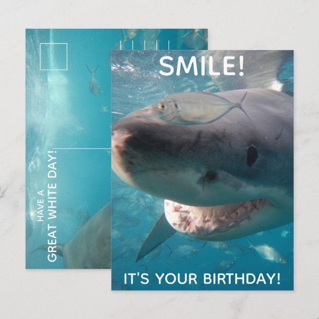 Carte Postale Drôle Anniversaire de Grand Requin Blanc (Devant / Derrière)