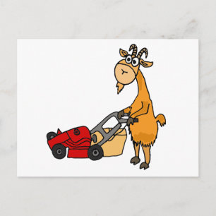 Carte Postale Drôle Billy Chèvre Poussant La Tête De Pelouse Des