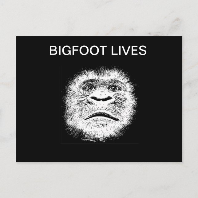 Carte Postale Drôle Cadeaux Bigfoot (Devant)
