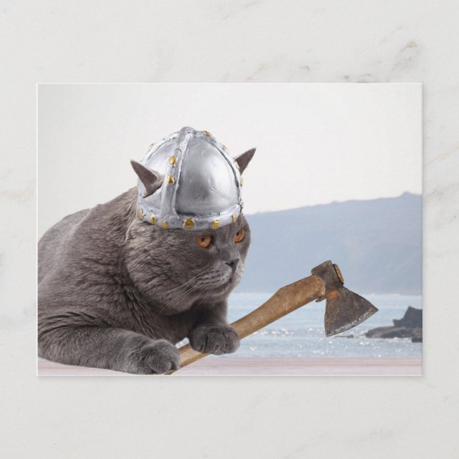Carte Postale Drôle chat viking (Devant)