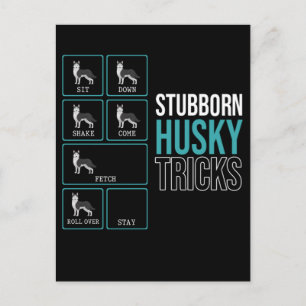 Carte Postale Drôle Chien Lazy Chiot Stubborn Husky