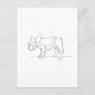 Carte Postale Drôle Chiot Bouledogue Français Mignon, Humour Can